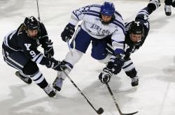 开云网页版-当沙漠之狐撕碎波西米亚铠甲，布罗佐维奇的致命一击与突尼斯的战术革命